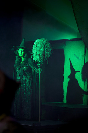 The Wizard of OZ -  287