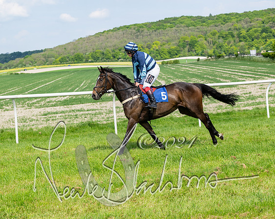 Race 3 - Ladies Open  (30 of 133)