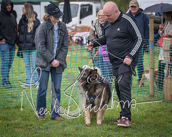 Bicester - Dog Show (17 of 106)