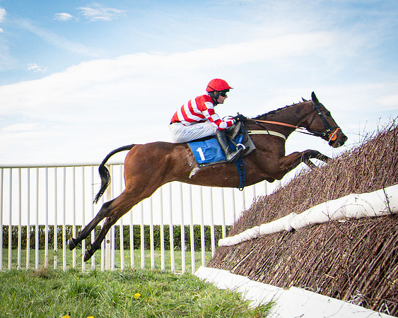 Race 4- The Cala homes Mixed Open Race (54 of 78)