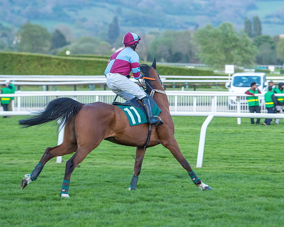 Race 7 - Glos Hussars  (98 of 245)