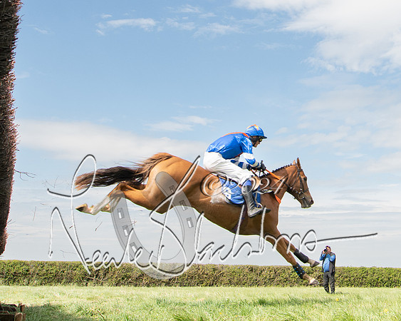 Race 2 - The Elliott of London maiden race (72 of 137)