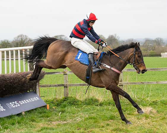 Race 2 - Veteran Horse (117 of 153)