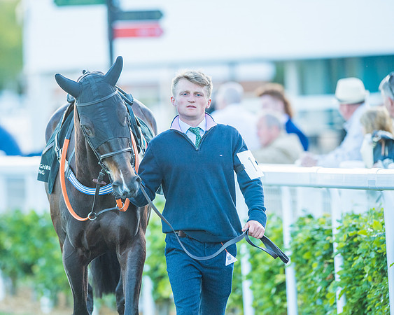 Race 7 - ITM Bumper (10 of 72)