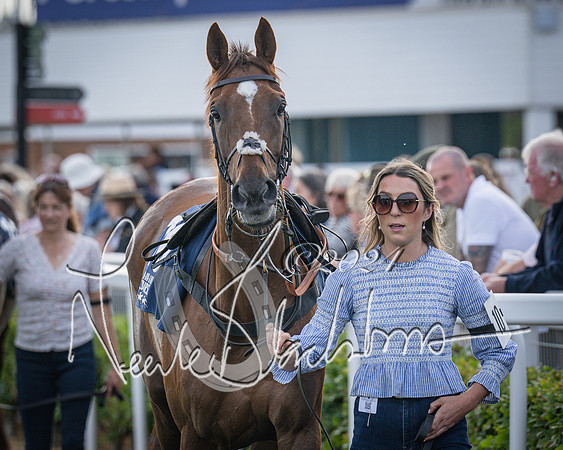 Race 3 - The pointtopoint.co.uk champion novices’ Hunter Chase (14 of 140)