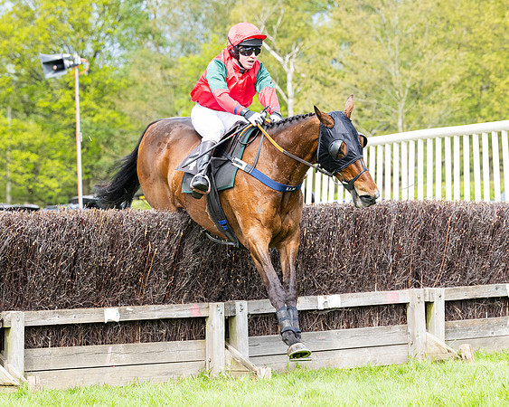 Race 2 - Veteran Horse (79 of 80)