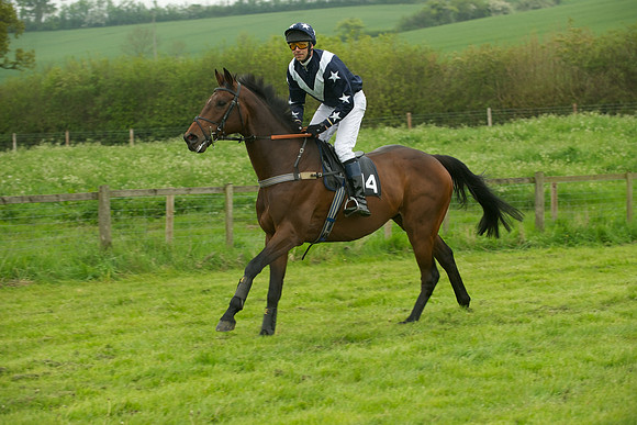Race 2 - Novices 18