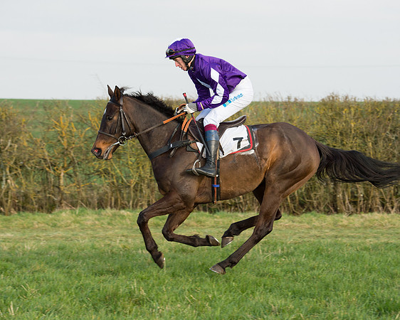 Race 6 - Open Maiden Race (31 of 99).jpg