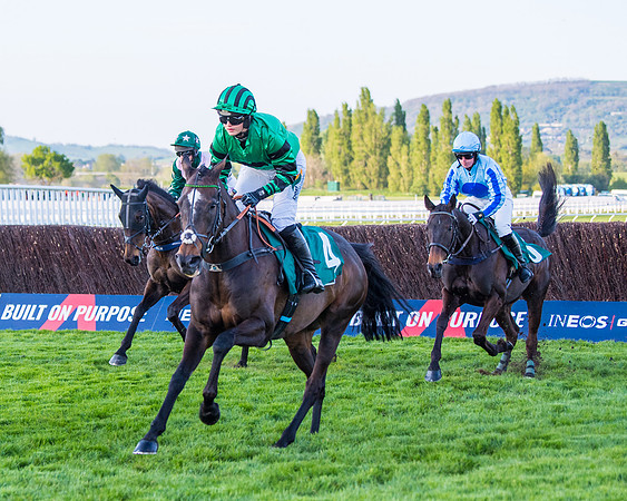 Race 5 - ITM Mares'  (27 of 181)