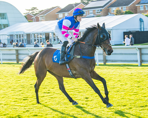 Race 5 - White Swan Hotel Handicap (12 of 80)