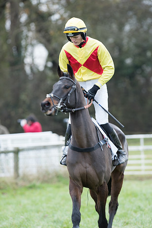 Race 6 - 2m4f Maiden 10