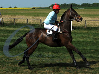 picture-13