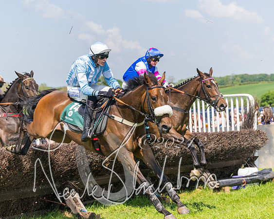 Race 2 - The Maiden  (250 of 442)