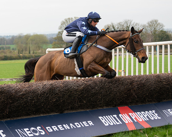 Race 2 - Veteran Horse (25 of 153)