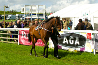 Race 3 - Aga Ladies Open 8