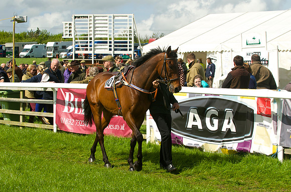 Race 3 - Aga Ladies Open 8