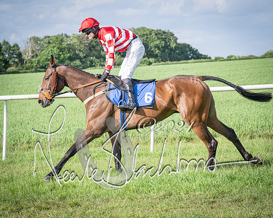 Race 6 - Thorn Plant Hire Maiden Race (24 of 129)