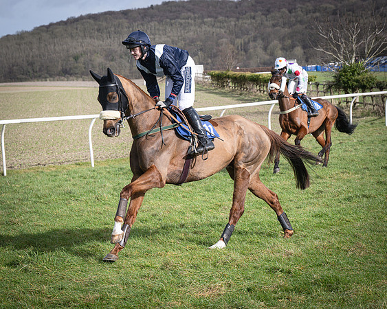 Race 3 - The Maiden Conditions (33 of 214)