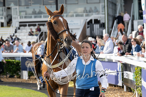 Race 3 - The pointtopoint.co.uk champion novices’ Hunter Chase (48 of 140)