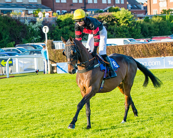 Race 5 - White Swan Hotel Handicap (16 of 80)