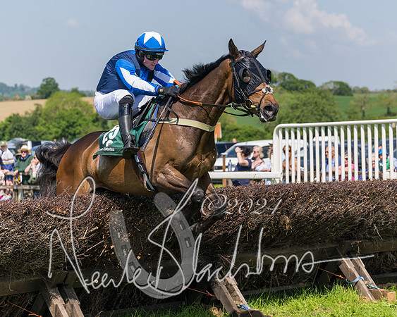 Race 2 - The Maiden  (234 of 442)