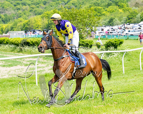 Race 2 - Restricted  (149 of 308)