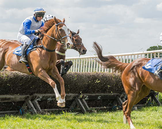 Race 2 - Restricted  (47 of 90)