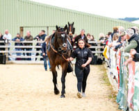 Race 2 - 2M4F Conditions (14 of 195)