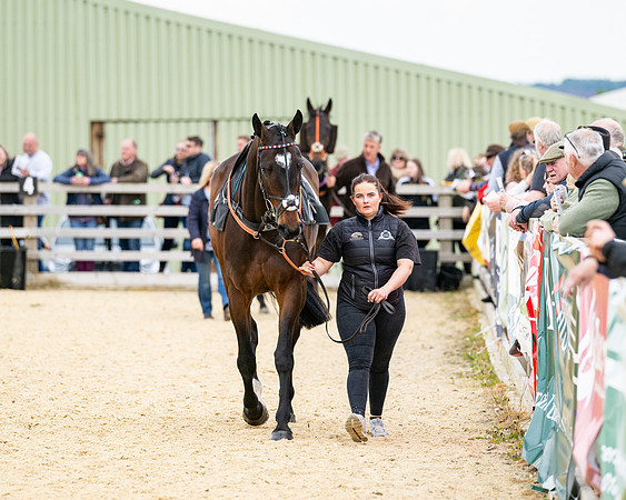 Race 2 - 2M4F Conditions (14 of 195)