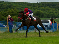 Pony Race - 10