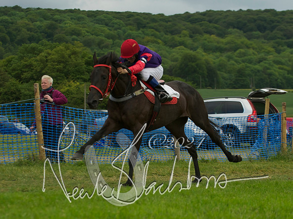 Pony Race - 10