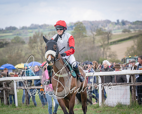 Race 3 - 5 years old and Over Maiden Race (22 of 130)