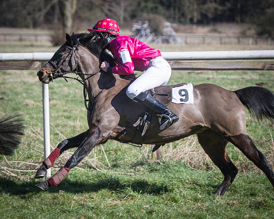 Pony Races (48 of 112)