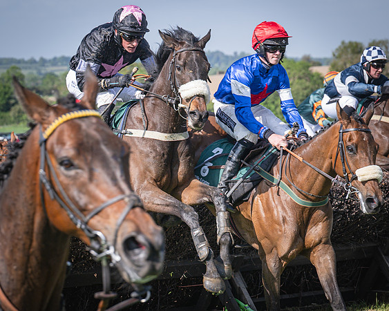Race 5 - Restricted (64 of 116)