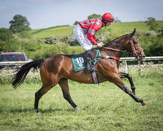 Race 5 - Restricted (32 of 116)