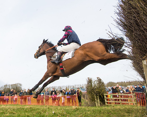 Race 4 - Mixed Open  (47 of 102)