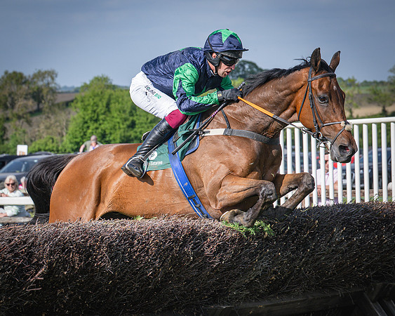 Race 6 - 2m5f Conditions (42 of 70)