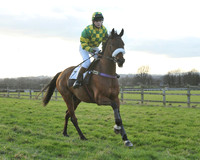 TVRC - Young Horse Maiden Division 2