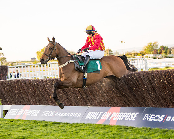 Race 5 - ITM Mares'  (52 of 181)