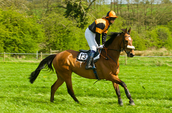 Race 3 - Aga Ladies Open 11