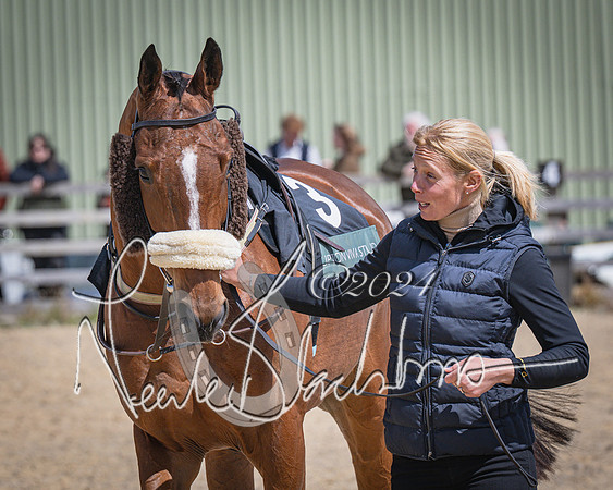 Race 1 - Warwickshire Hunt members steeplechase 2m62y (7 of 83)