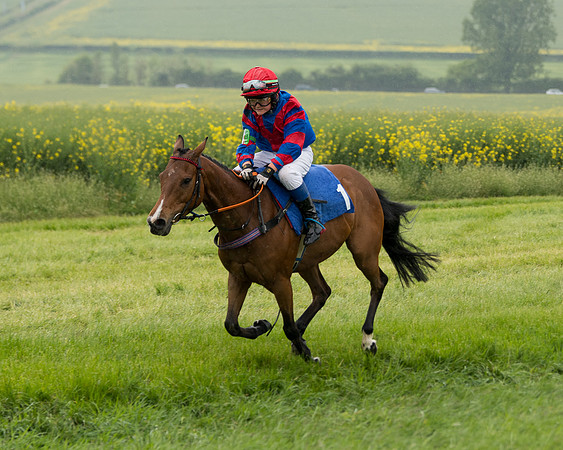 Pony Race 1  (73 of 125)