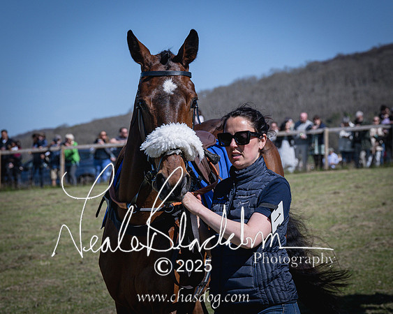 Race 2 - The Maiden (10 of 118)