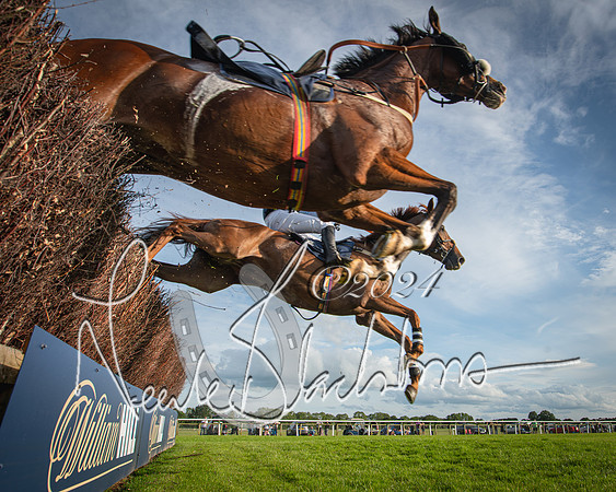 Race 3 - The pointtopoint.co.uk champion novices’ Hunter Chase (116 of 140)