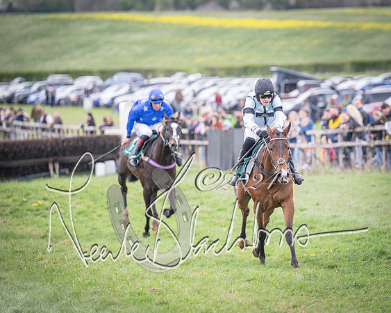 Race 2 - Tattersalls Cheltenham 4 year old Maiden (55 of 85)