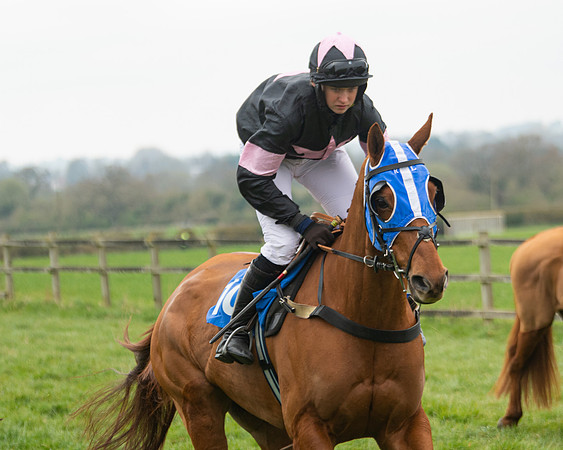 Race 3 - Open maiden  (27 of 273)