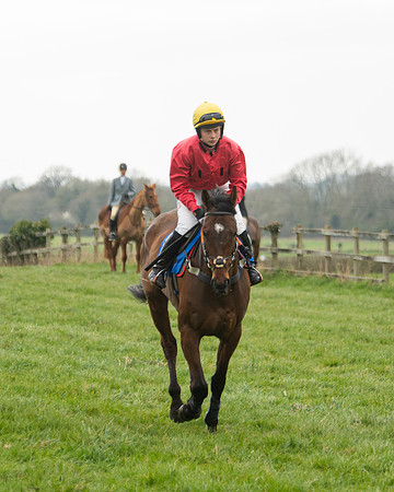 Race 3 - Open maiden  (6 of 273)
