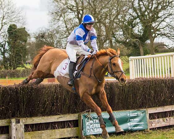 Race 3 - Restricted  (72 of 100)