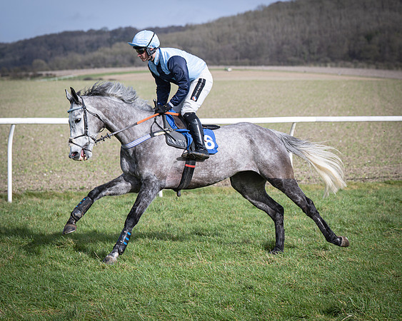 Race 3 - The Maiden Conditions (52 of 214)