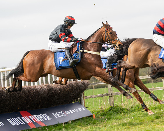 Race 2 - Veteran Horse (72 of 153)